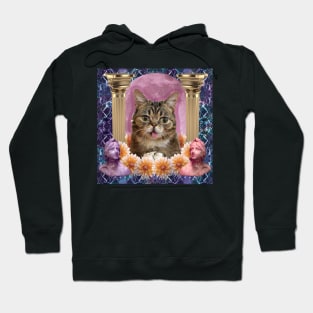 internet cat paradise Hoodie